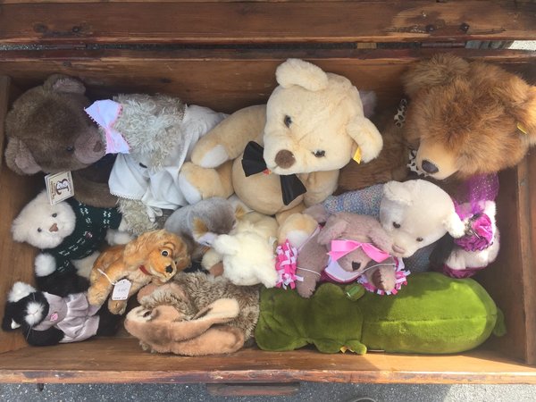 Quels sont les avantages des peluches ?