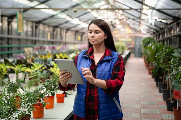 Les serres de jardin : utiles ou pas?
